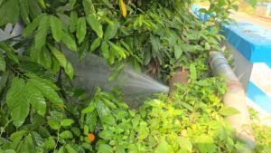 വാഴത്തോപ്പ് കുടിവെള്ള പ്രതിസന്ധി: ആവർത്തിക്കുന്ന പൈപ്പ് പൊട്ടലുകൾക്ക് പിന്നിൽ അധികൃതരുടെ ഗുരുതര അനാസ്ഥ. 19 മുതൽ 21 വരെ പഞ്ചായത്തിന്റെ വിവിധ ഭാഗങ്ങളിൽ കുടിവെള്ളം മുടങ്ങും.പൈപ്പുകൾ പൊട്ടുന്നതിന് പിന്നിൽ കരാറുകാരുടെ  തന്ത്രങ്ങൾ എന്നും ആരോപണം.