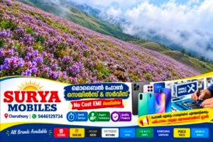 മീശപ്പുലിമലയിലേക്ക് പോകാം, നീലക്കുറിഞ്ഞി വസന്തം ആസ്വദിക്കാം: മുൻകൂട്ടി ബുക്കിങ് നിർബന്ധമെന്ന് വനം വകുപ്പ്.